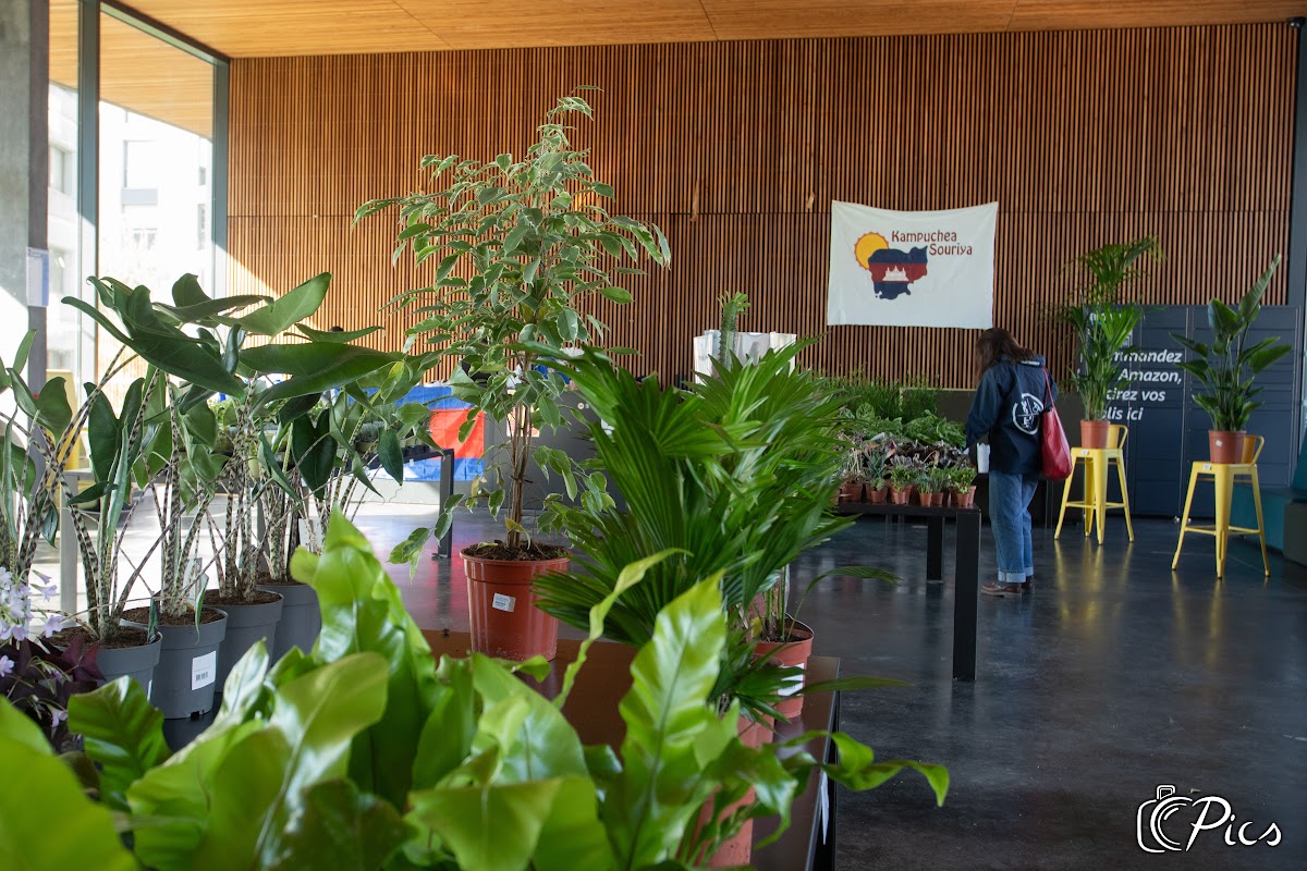Financement des plantes, tiramisus et Expo de KS